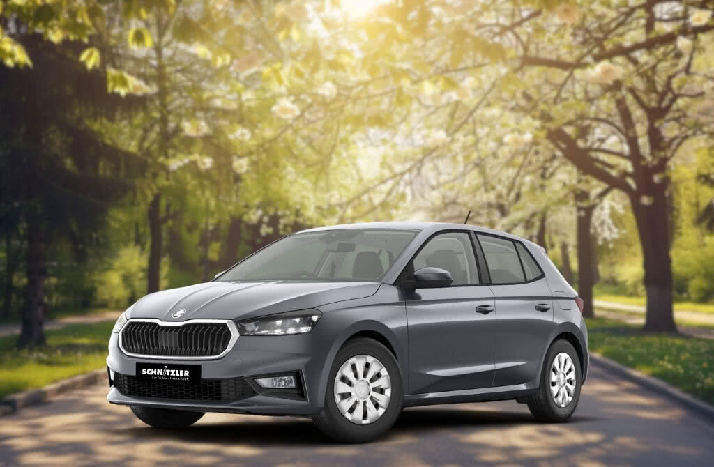 ŠKODA Fabia Selection 