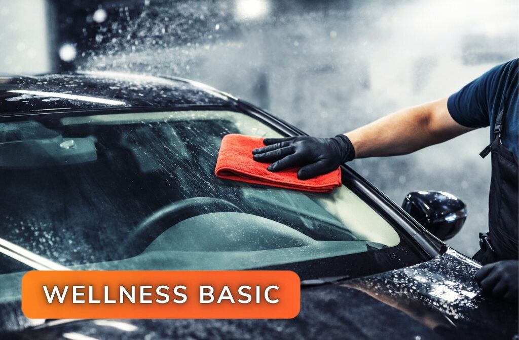Wellness Basic