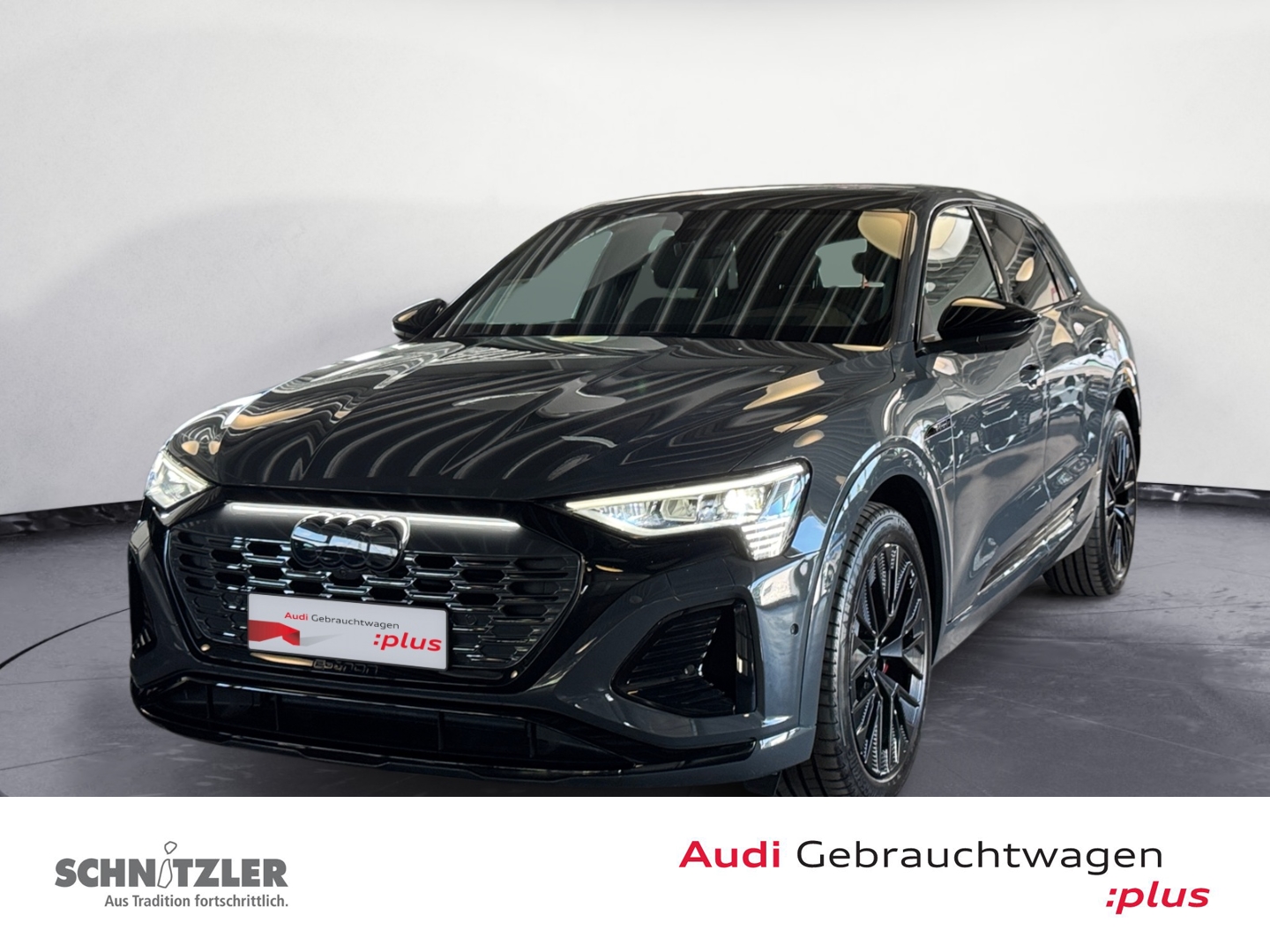 Audi Q8 e-tron S