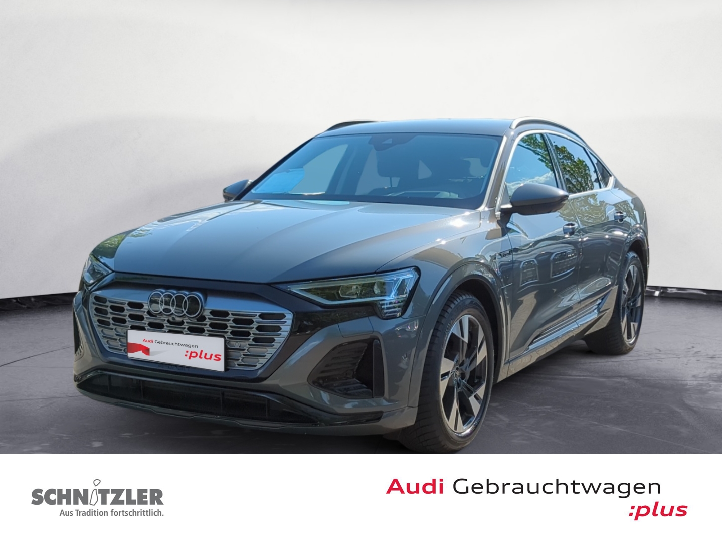 Audi Q8 e-tron Sportback